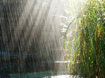 夏天的雨像什么比喻 夏天的雨