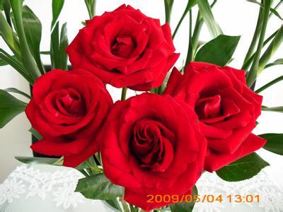 19朵玫瑰花的花语 19朵玫瑰花是什么意思 十九朵玫瑰花的花语