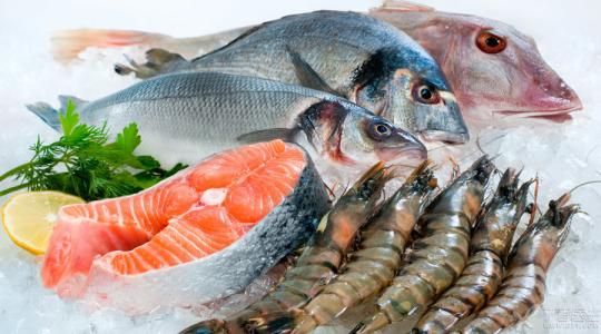 什么食物补脑效果最好 什么鱼补脑效果比较好