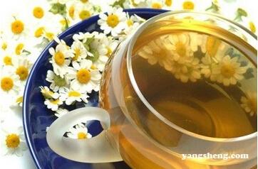 春季养肝茶 春季最有效的养肝茶