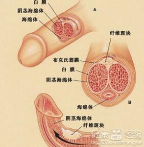 阴茎癌早期会有啥症状 阴茎癌有什么早期症状