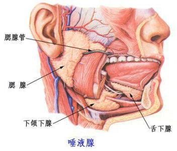 打哈欠流眼泪是肾虚吗 打哈欠流眼泪是怎么回事