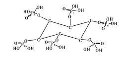 各种轴承的功能和用法 植酸的用法 植酸有什么功能