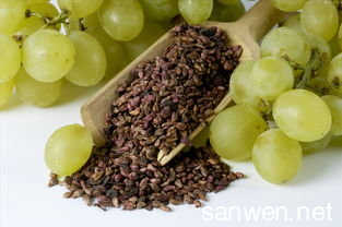 葡萄籽怎么吃才最好 葡萄籽怎么吃是最好