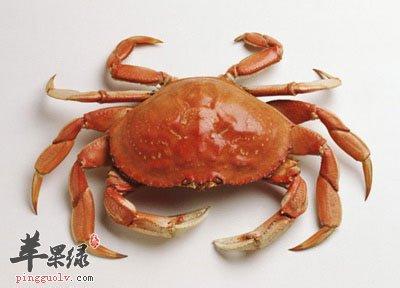螃蟹的营养价值及功效 蟹的营养价值与危害