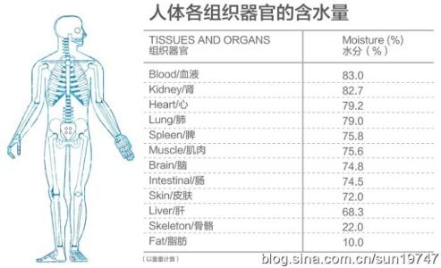 人体所需的六大营养素 人体不可缺营养素有哪些