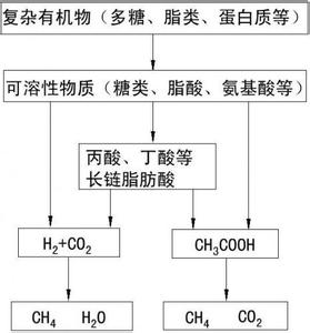 沼气形成的条件 沼气是怎样形成的