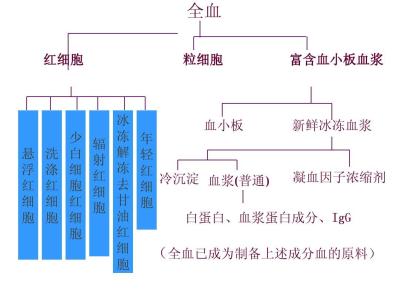 母乳是血液形成的吗 血液是怎样形成的 血液有什么功能