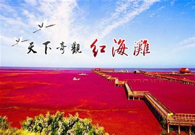 盘锦红海滩的形成 红海滩是怎么形成的 红海滩的形成原因