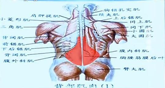 腰肌劳损怎么形成的 腰肌劳损是怎样形成的_腰肌劳损的原因
