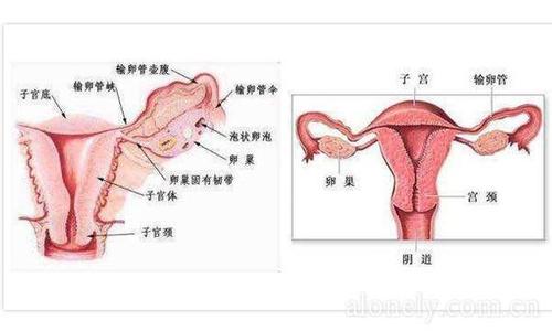 阴吹发涩是怎么引起的 阴吹是怎样形成的