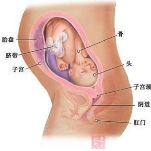 八个月宝宝发育指标 八个月宝宝的体格发育状况