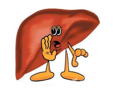 吃什么对肝脏损害严重 吃什么对肝脏不好