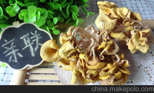 蘑菇的营养价值 黄金菇的营养价值_吃黄金菇的好处