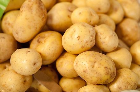 土豆的营养价值及功效 原来土豆块越大越营养