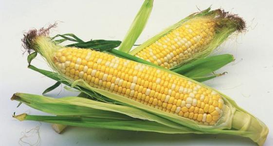 玉米长毛能吃吗 为什么玉米会长胡须