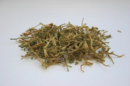 金银花茶的功效与禁忌 金银花的功效与作用及禁忌 金银花的食用方法