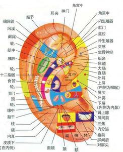 大便里有黑色的点点 男人大便擦出一点点血是怎么回事