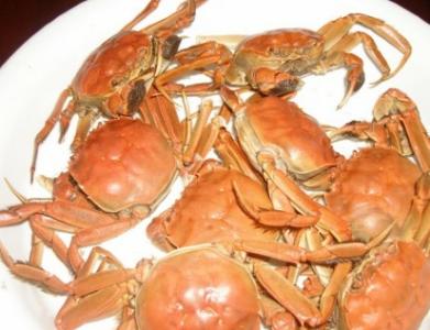 食用螃蟹种类 怎样正确食用螃蟹