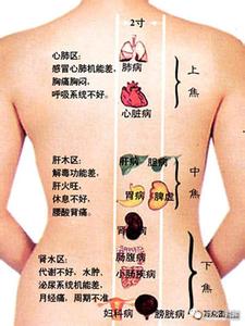 后背哪里不能拔罐 背部拔罐有什么好处？