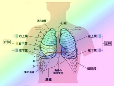 非首都功能疏解 治疗色斑如何疏解肝气排除体内毒