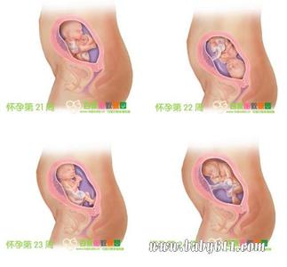 斯瑟蒂克40周胎教方案 孕六月的胎教方案细节