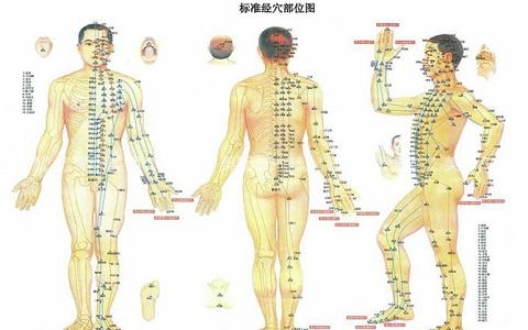 如何保持大便通畅 保持经络通畅的4个方法