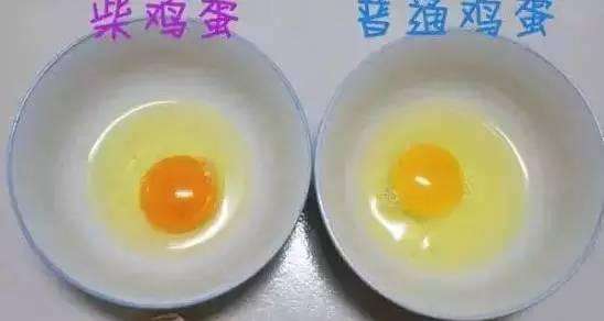 现在吃鸡蛋安全吗 鸡蛋怎样吃才安全