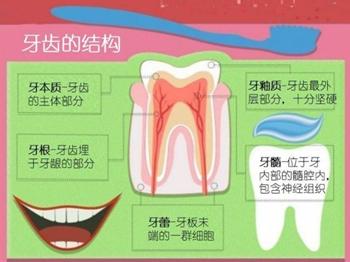 儿童龋齿防治 儿童龋齿的防治对策