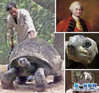世界上最长寿的人 世界上最长寿的陆龟是178岁