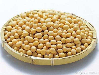高产大豆新品种千斤王 为什么大豆称为“豆中之王”