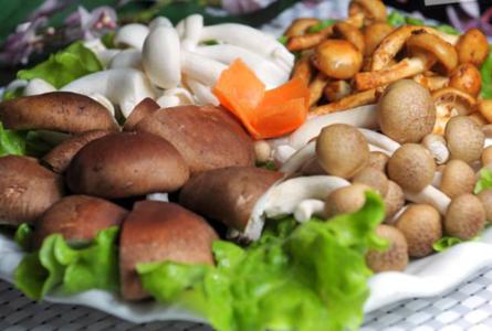 蘑菇的营养价值及功效 蘑菇怎么吃好吃 蘑菇的功效与营养