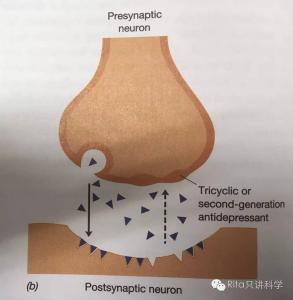 脾气暴躁是抑郁症吗 抑郁症怎么回事