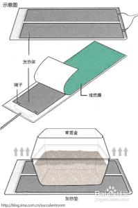 冬季防寒保暖小常识 冬季防寒保暖做五件事五部位