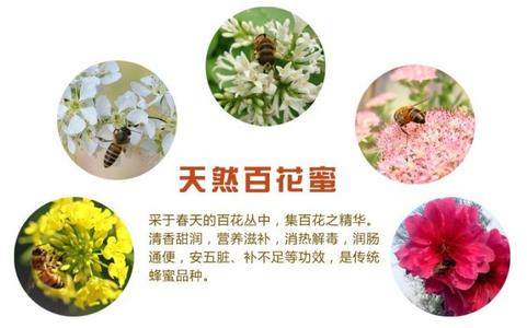 百花蜜的作用与功效 百花蜜有什么功效和作用