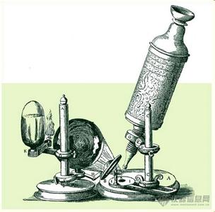 显微镜的历史人和时间 显微镜的历史