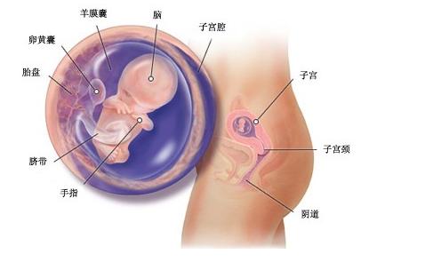 三个月宝宝头上长胎皮 宝宝头上的胎灰是怎么形成的