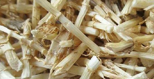 白花蛇舌草功效与作用 白花蛇舌草和白茅根的功效与作用