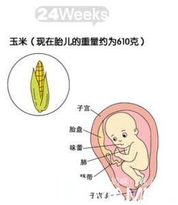 孕7个月胎动频繁是男 怀孕七个月胎动频繁是什么原因