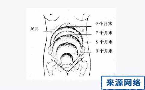 宫高多少就快生了 宫高是什么意思