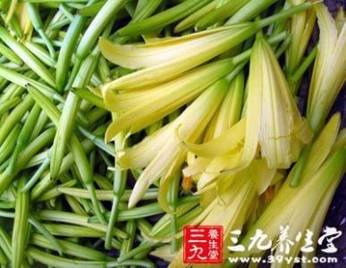 黄花菜食用方法 食用鲜黄花菜不当为什么会中毒