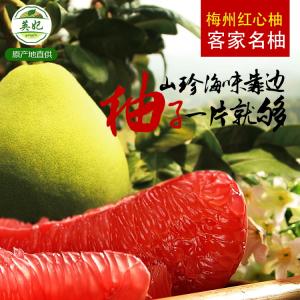柚子皮的功效与作用 水果红柚的功效和作用