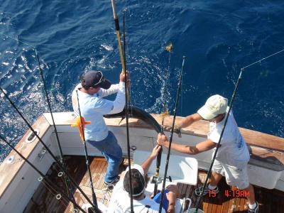 海钓假饵用法及选择 海钓的用法 海钓有哪几种方式