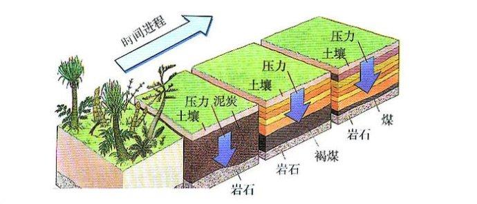 煤炭是怎样形成的 煤炭和石油是怎样形成的