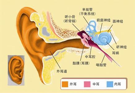 耳朵里出血是什么病症 耳朵出血是什么原因