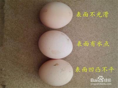 怎样辨别鹅蛋新鲜 怎样辨别新鲜鸡蛋