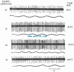 体温调节方式 兔调节体温的方式