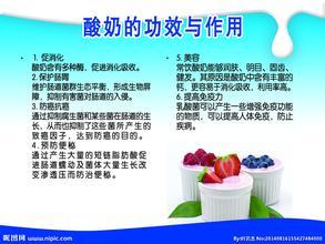 自制酸奶的功效与作用 酸奶的功效作用
