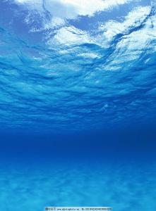 海水是蓝色的吗 海水为什么是蓝的？