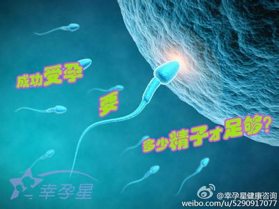 少精子可以受孕吗 要多少精子才能够成功受孕？